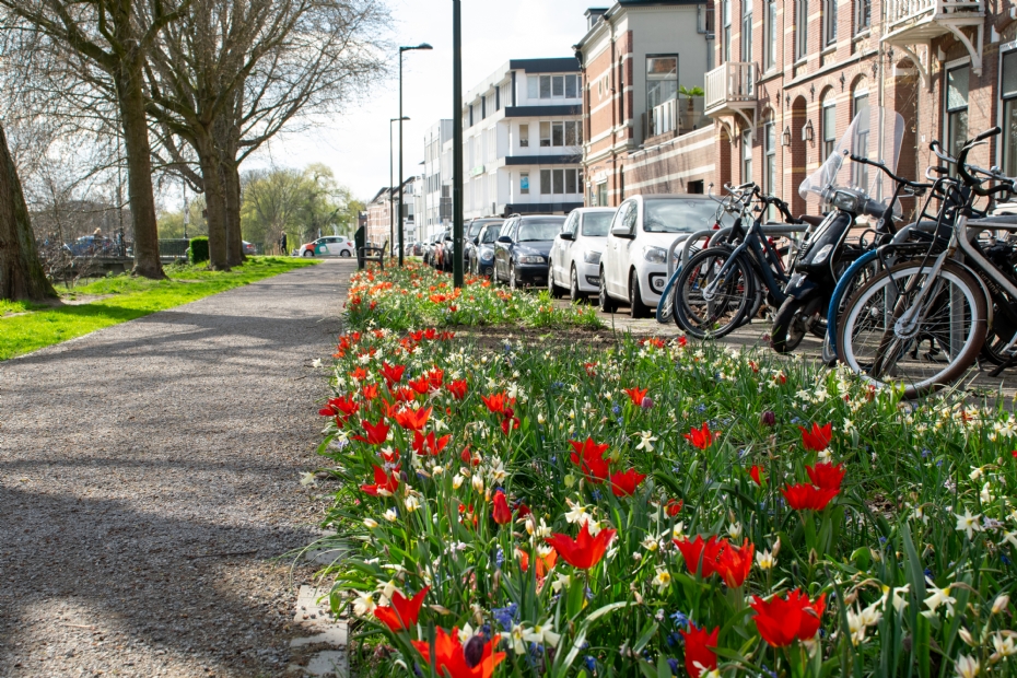 Special mixture for the Chassesingel in Breda