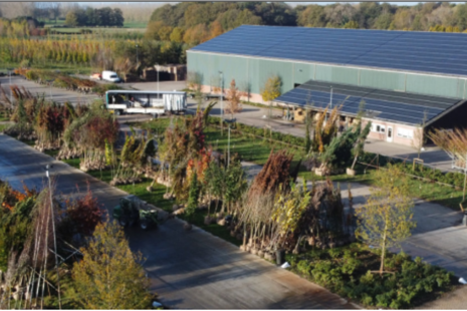 Aerial photo of the nursery, with 4,000 square meters of solar panels Aerial photo of the nursery, with 4,000 square meters of solar panels