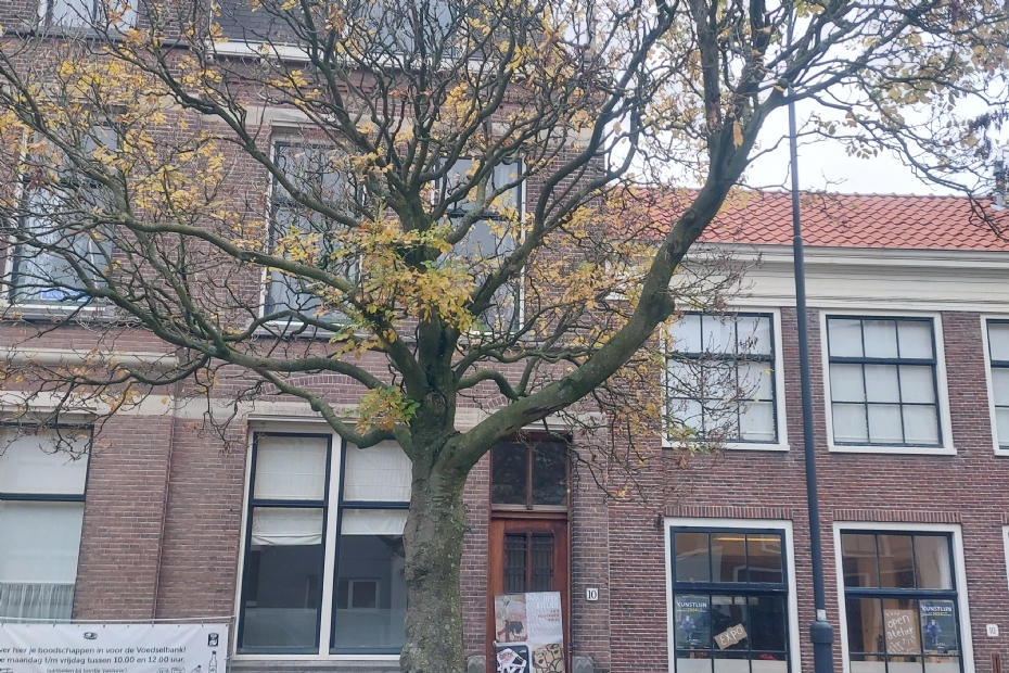 Weathered, but worth it here Weathered, but worth it here