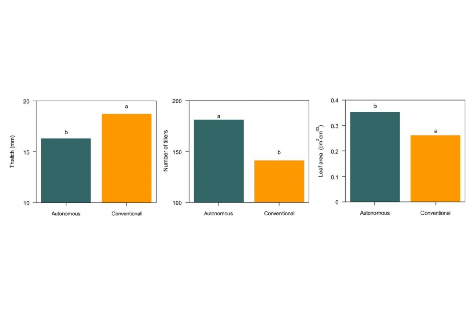less thatch, more shoots and higher NDVI less thatch, more shoots and higher NDVI