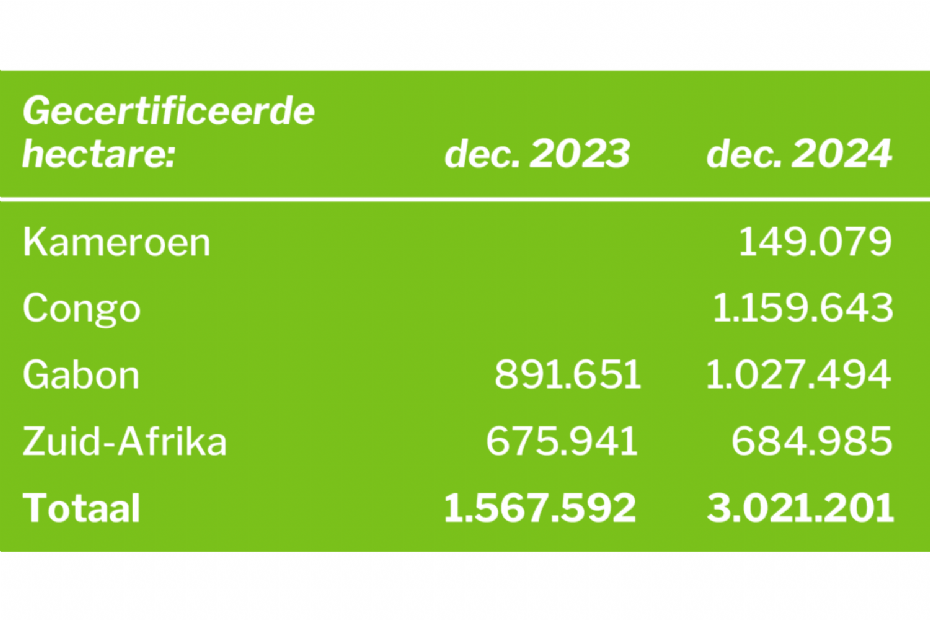PEFC-certified forest in Africa 2024
