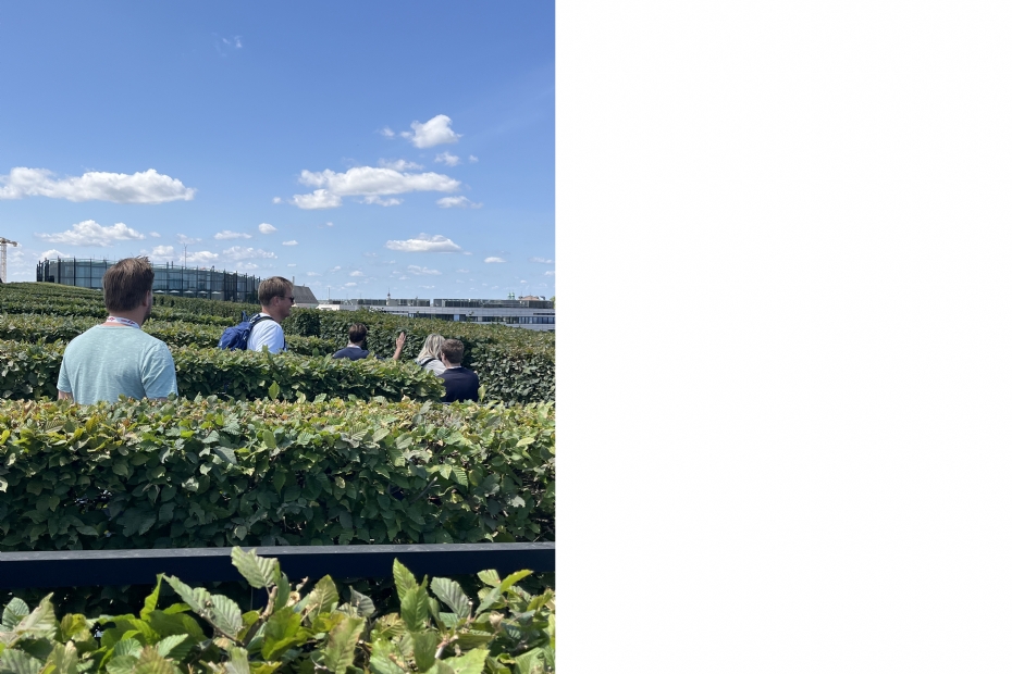 The green roof of Kö-Bogen