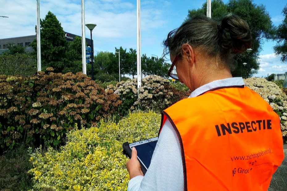 A DG Groep employee inspects public green space