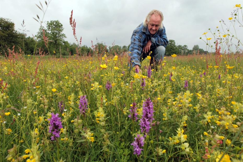 Nico Minnema in already converted rushland Nico Minnema in already converted rushland