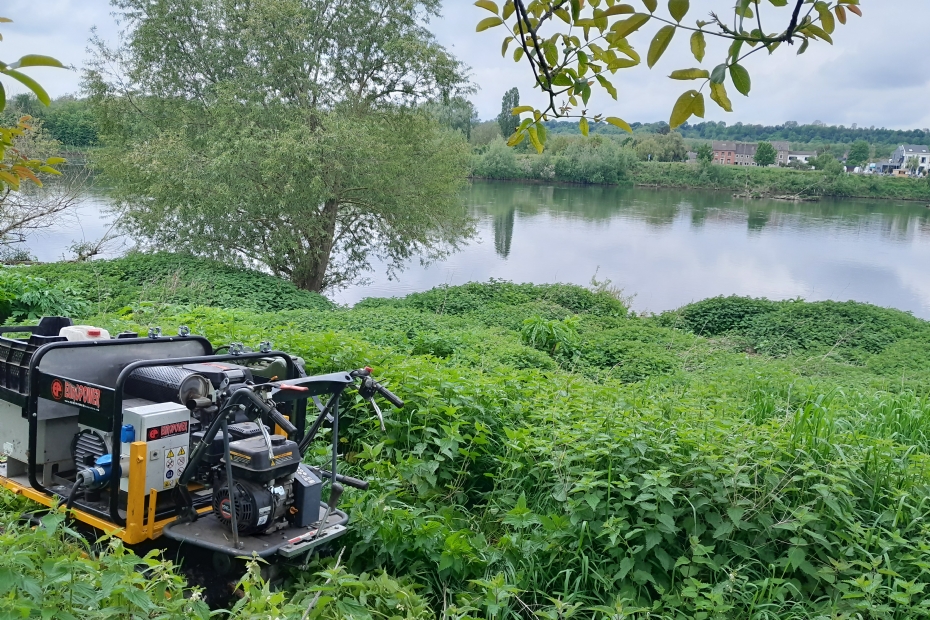 The RootWave Pro The RootWave Pro