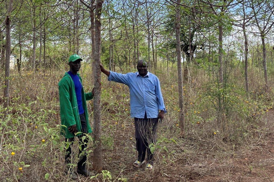 Victor Otieno (left) from Africa Wood Grow and Alex Kituku, a member of the Kamiti CBO, on his land now filled with trees