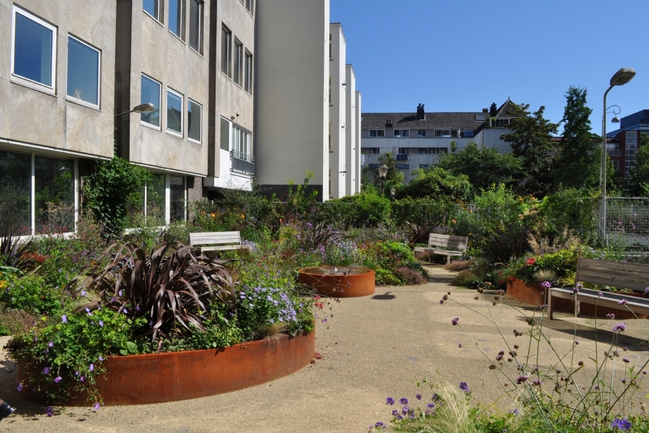 ‘We used Adezz planters where planting in open soil was not possible.’