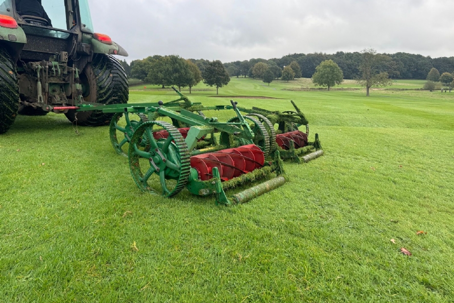 Dennis gang mowers