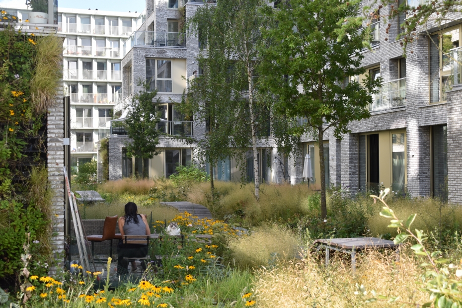 Image via New Urban Standard - Amsterdam Overhoeks