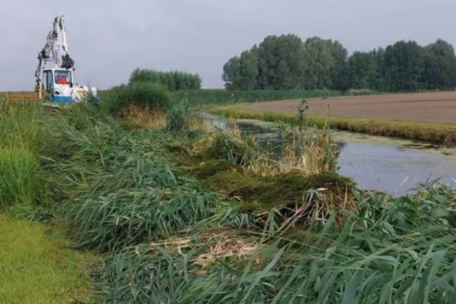 Image via: Brabantse Delta