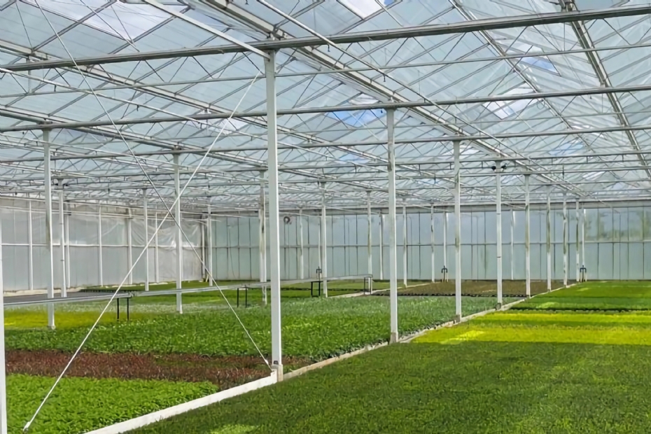 Overview of the greenhouse