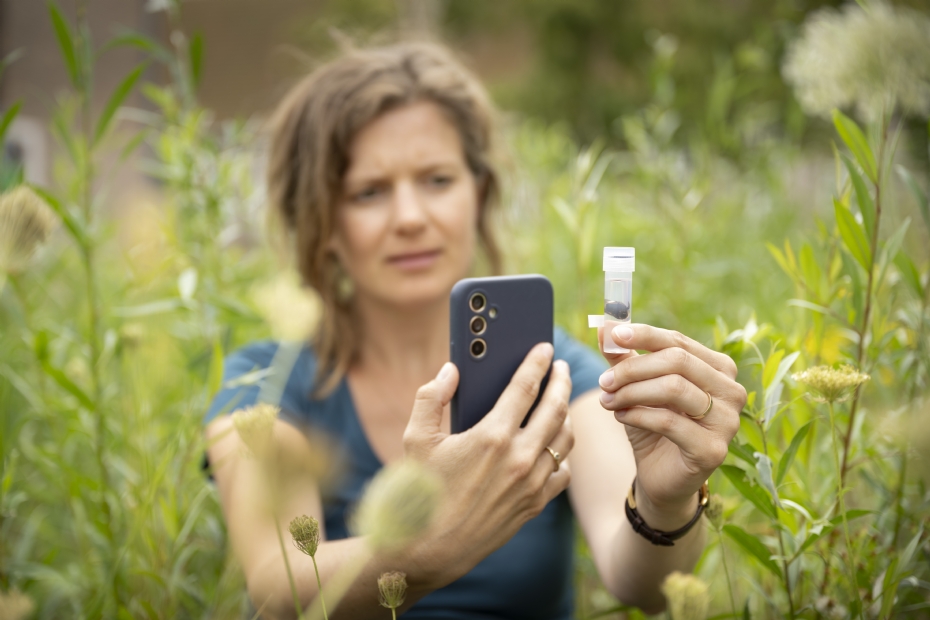 Collecting specimens in the field with the sampling app by Lotte van Leengoed (Image: ARISE, credits: Taco van der Eb)