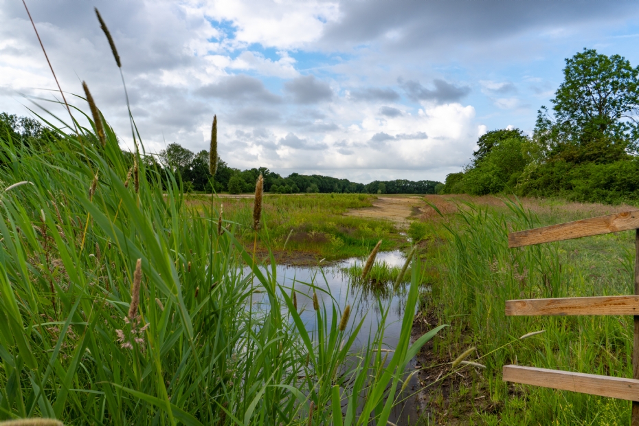 Phase 1 - nature-friendly banks