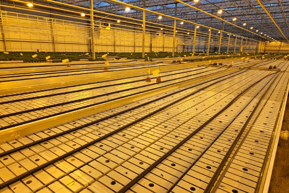 Clean tables at Ten Have Plant