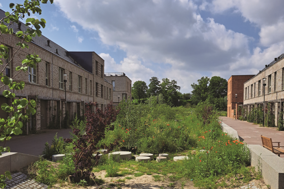 Wadi Hof van Holland in Nijmegen: a good example of a climate-adaptive and low-traffic street focused on liveability. The image shows lesser-known solutions from Struyk Verwo Infra, such as decorative stepping stones in the wadi and Solid kerbs.