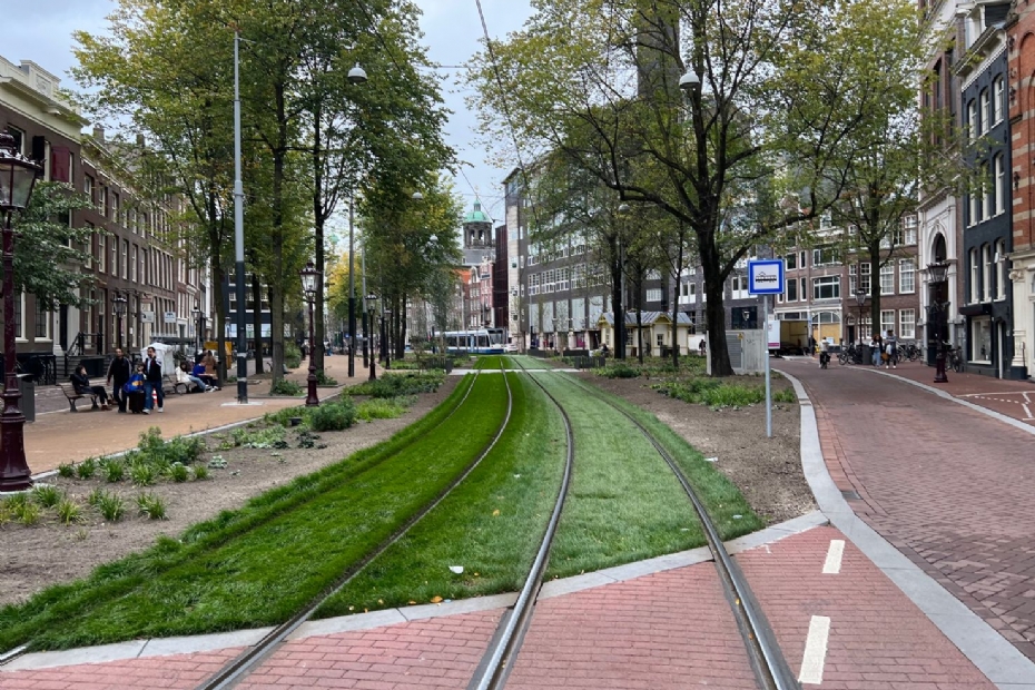 Amsterdam tram track. Image via: Intergemeentelijke Studiegroep Bomen (ISB)