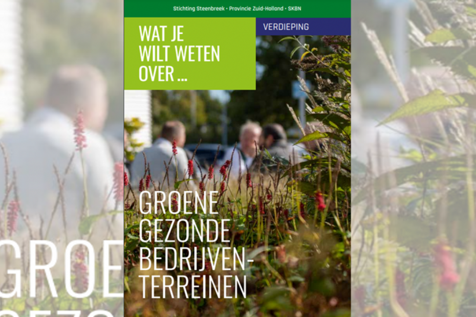 Cover of the booklet 'Groene Gezonde Bedrijventerreinen - Verdieping' by Stichting Steenbreek, the province of South Holland and SKBN