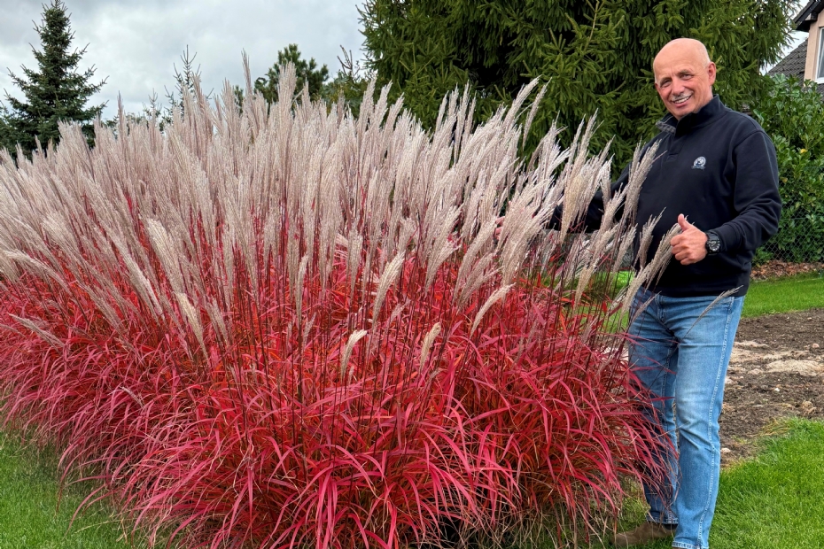 Krzysztof Slowiński shows 'Lady in Red'
