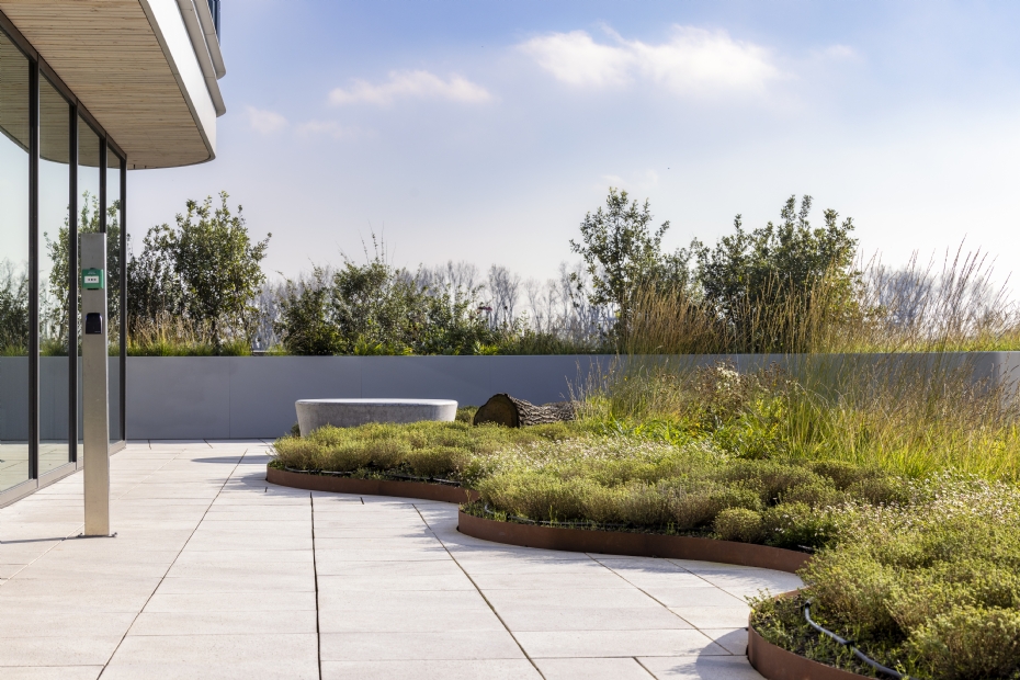 This walkway connects ground level with the roof terraces (Photo: Cojan van Toor Fotografie) This walkway connects ground level with the roof terraces (Photo: Cojan van Toor Fotografie)