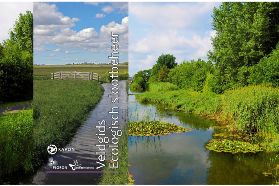 Cover of the new Field Guide for Ecological Ditch Management