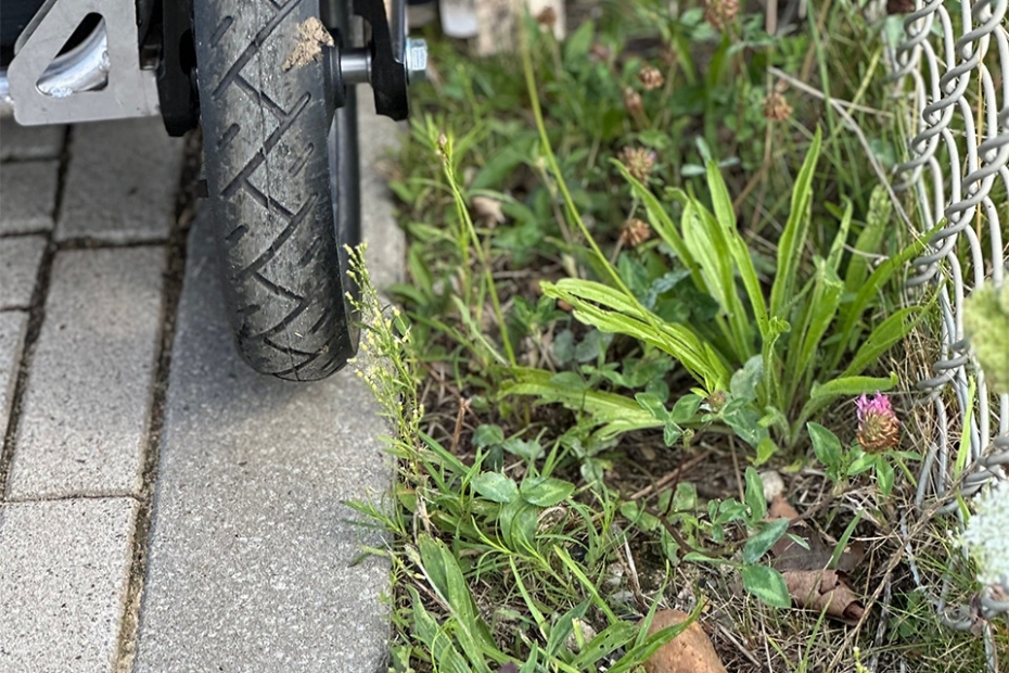 The side shift of the eWeeding Roller makes treatment possible right up to the edge (Image: Wimmersson)