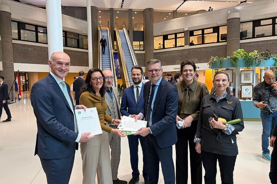 Image via: Trees, Perennials & Summer Flowers