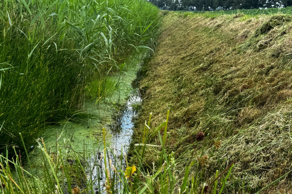 The result in a single pass speaks for itself