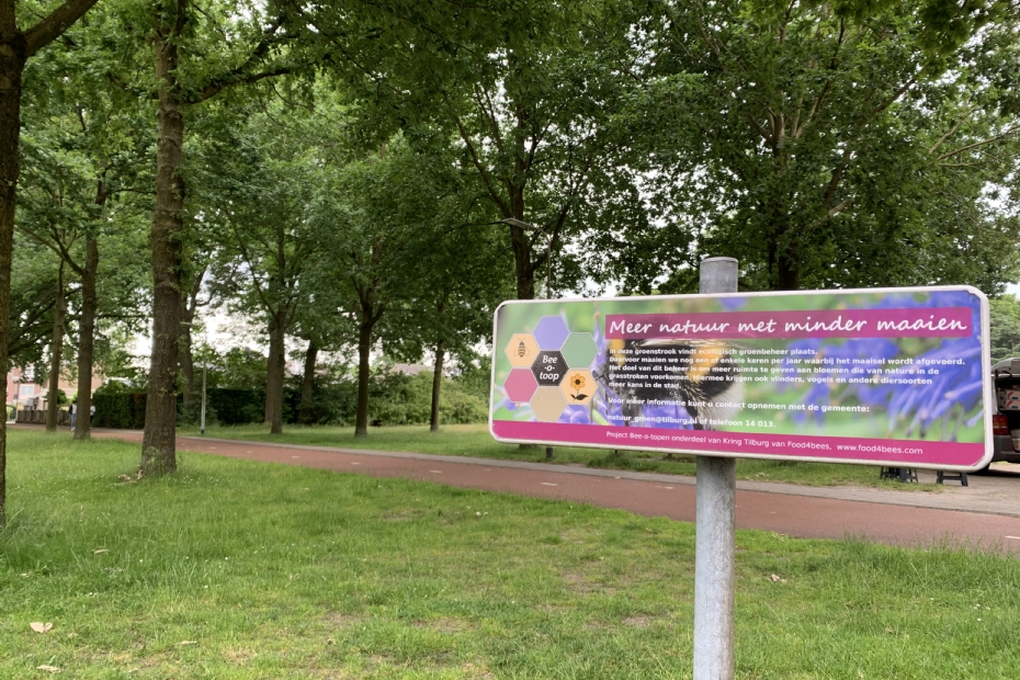 Ecological mowing policy of the municipality of Tilburg, image for illustration