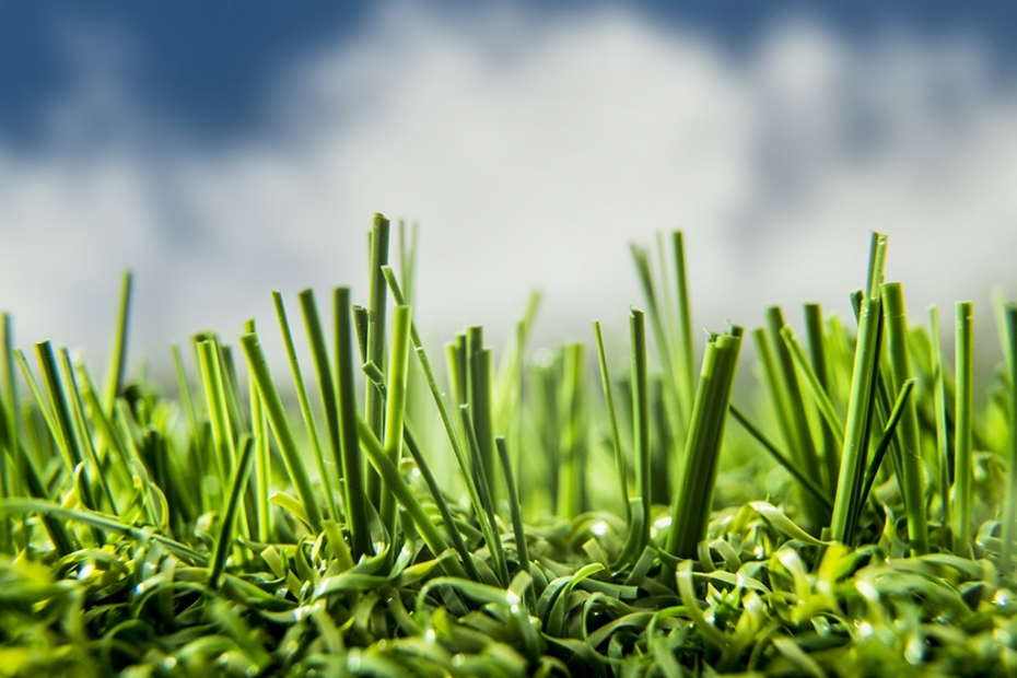 Nonfill artificial turf from TenCate