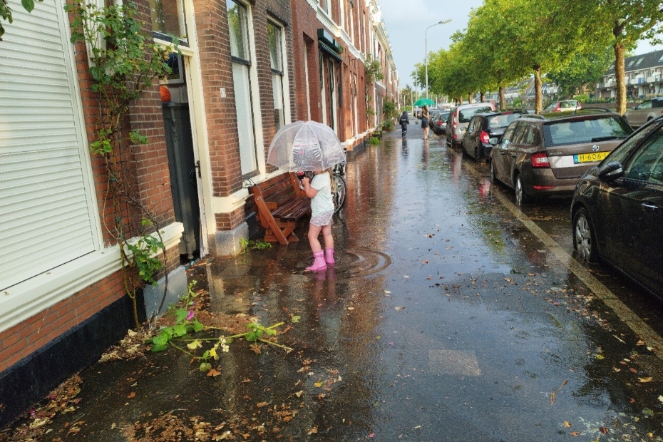 Image via: Dutch Green Building Council (DGBC) Image via: Dutch Green Building Council (DGBC)