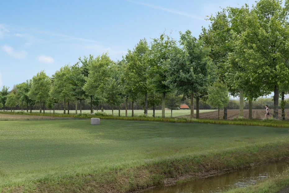 Avenue concept with one-to-one replacement: open landscape with different tree species and rejuvenation
