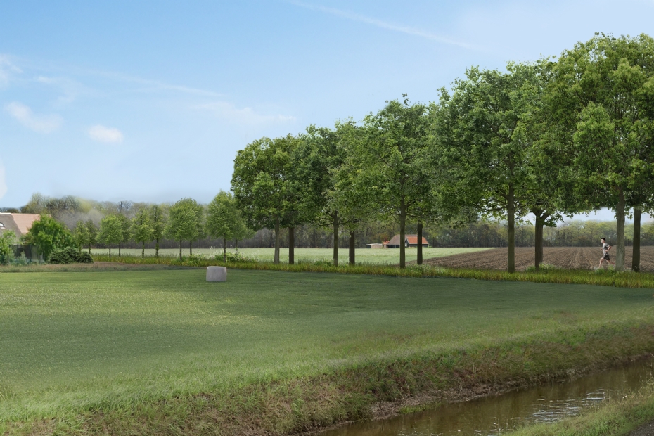 Avenue concept with replacement in sections: open landscape with uniform planting and rejuvenation with a new species Avenue concept with replacement in sections: open landscape with uniform planting and rejuvenation with a new species