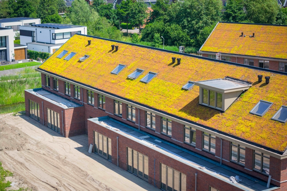 This roof is an example of a project under construction during drought. The irrigation system has not yet been connected. The roof is intended to be green, but drought can give it a reddish appearance.