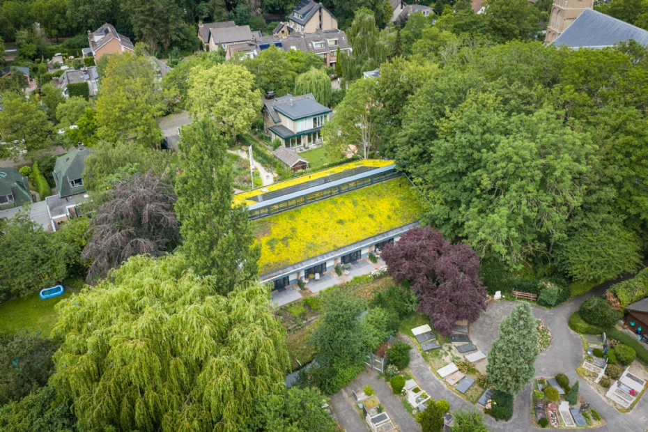 This roof in Pijnacker shows how a sloping green roof looks when it receives enough water and the vegetation is in full bloom This roof in Pijnacker shows how a sloping green roof looks when it receives enough water and the vegetation is in full bloom
