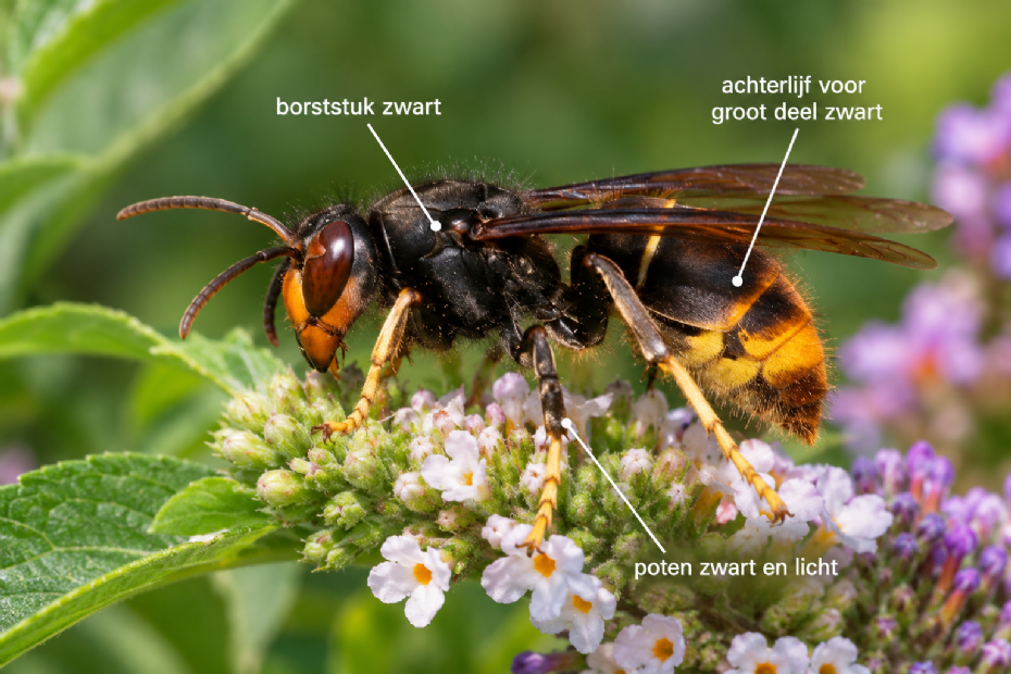 Illustrative image generated with AI
